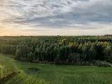 Baun plantage i Thy
